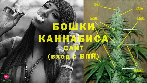 бутират Белокуриха