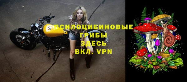 круглые Богородицк