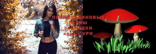дмт Белоозёрский