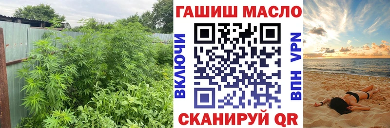 купить  цена  Набережные Челны  мега сайт  Дистиллят ТГК гашишное масло 